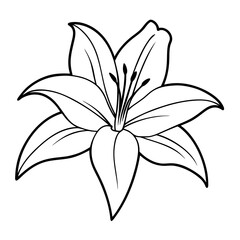 Lily Flower line art