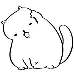 Angry cat