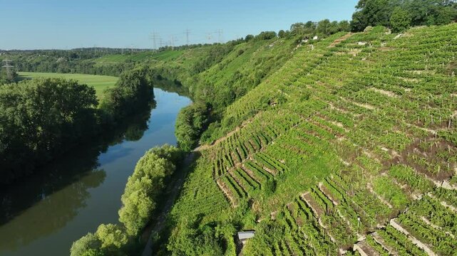 flight overthe steep vineyards of the Neckarvalley next to Marbach, Baden-Wuerttemberg, Germany