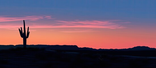 Dark outline of a cactus set against the backdrop of the dawn sky. Copy space image. Place for adding text and design