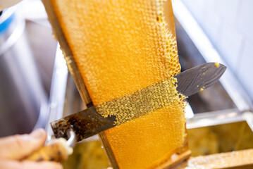 Uncapping honey frame with electric knife. Honey harvest on bee farm, ripe sunflower honey