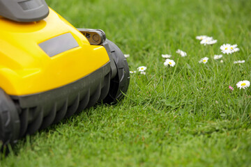 Yellow lawn mower on the spring green grass in the yard