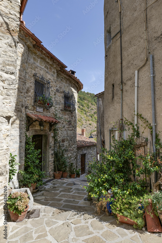 Poster A street in Sasso di Castalda, a village in Basilicata, Italy