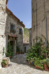 Fototapeta premium A street in Sasso di Castalda, a village in Basilicata, Italy
