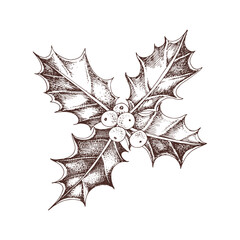 Holly berry monochrome vector branch