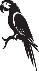 a beautiful parrot bird black and white silhouette vector art flat design outline background illustrations
