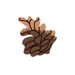 Pine cone icon. Pinecone in hand drawn style. Strobile of spruce, fir, cedar. Seed of conifer trees. Forest design element, natural decor. Flat isolated vector illustration on white background