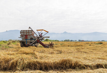 Fototapeta premium Harvesting in the Countryside
