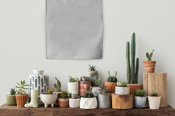 Canvas poster png hanging over a shelf full of cacti and succulents