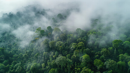 Aerial view of a dense forest shrouded in morning fog, with treetops barely visible through the mist, creating a mysterious and ethereal landscape