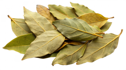 Dried bay leaves on a transparent background.