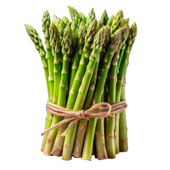  Fresh Asparagus on a transparent background.