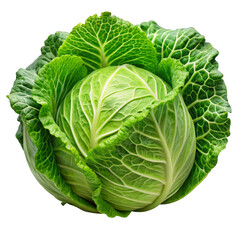 Obraz premium Fresh Cabbage on a transparent background.