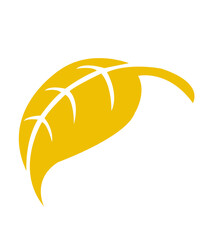 Leaf clip art design on plain white transparent isolated background for card, shirt, hoodie, sweatshirt, apparel, tag, mug, icon, poster or badge