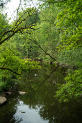 Rivière La Vonne, Ménigoute, Deux Sèvres, 79, France