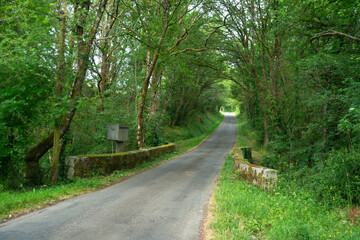 Naklejka premium Rivière La Vonne, Ménigoute, Deux Sèvres, 79, France