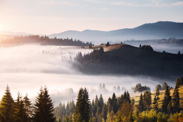 Summer scene and splendid foggy mountain landscape at dawn.