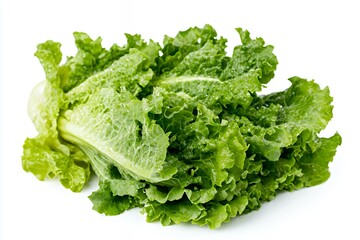 A fresh head of lettuce with crisp, green leaves, ideal for salads and healthy meals.