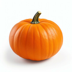 Perfect Pumpkin: A Vibrant Autumn Staple