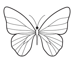 butterfly icon silhouette vector on white background