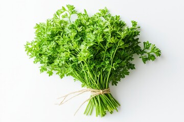 Obraz premium A fresh bunch of parsley tied with twine, ready for culinary use.