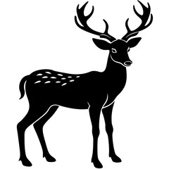 Animals silhouette vector image