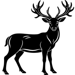 Animals silhouette vector image