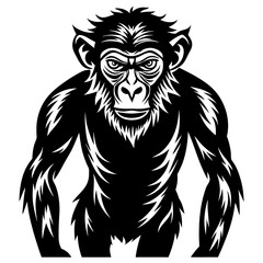 Animals silhouette vector image