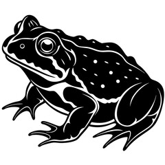 Animals silhouette vector image