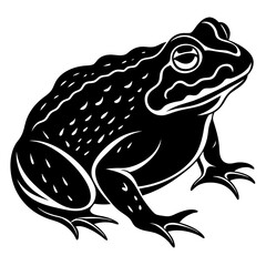 Animals silhouette vector image