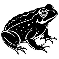 Animals silhouette vector image