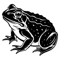 Animals silhouette vector image