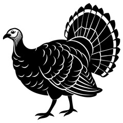 Animals silhouette vector image