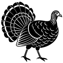 Animals silhouette vector image