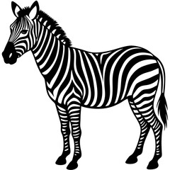 Animals silhouette vector image