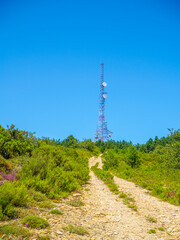 Obraz premium A telecommunication tower stands tall on a hilltop, surrounded by green shrubs and under a clear blue sky, serving as a critical infrastructure for communication in a rural area.
