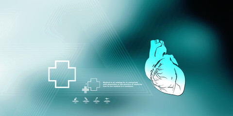 2d illustration  Anatomy of Human Heart 
