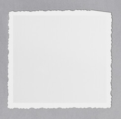 Obraz premium Ripped paper frame png mockup