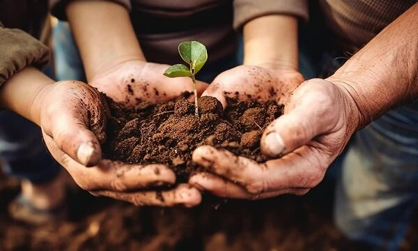 Nurturing New Life: A child and adult's hands, etched with the labor of love, cradle rich soil and a tender green sprout