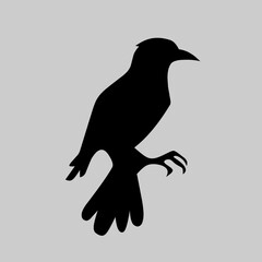 Fototapeta premium silhouette of a crow