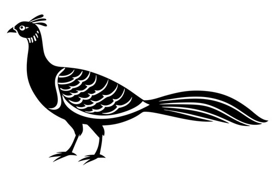 recommend clip art: A minimalist  vector illustration of the Malayan Peacock-Pheasant