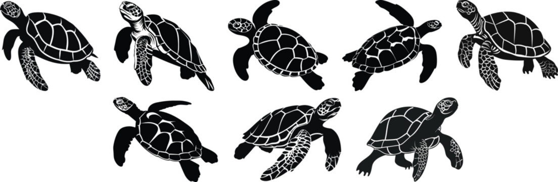 Sea Turtle Vector Icon Set in Black and White