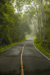 A straight steep road to entrance to Khao Yai national Park to see the beauty of the tropical forest in Khao Yai National Park. Thailand.