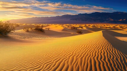 Death sand dunes at sunrise, golden light, open space for copy
