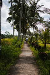 Obraz premium A woman in traditional Balinese clothes walks along the road against a backdrop of palm trees