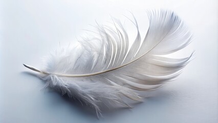 Obraz premium A delicate feather rests on a pure white background, symbolizing trust, innocence, and vulnerability, evoking feelings of hope and serenity in a minimalist composition.