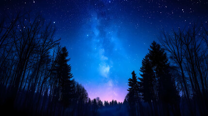 Fototapeta premium Group Stars That Are The Sky