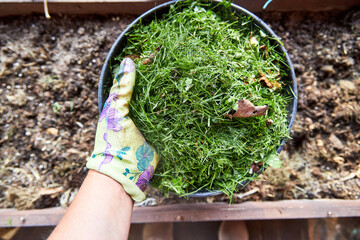 natural ingredients on the ground to make compost