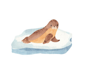 Watercolor baby seal on the iceberg - hand drawn illustration on transparent background