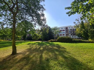 eine Wiese mit Park und Wohnungen im Hintergrund in Rostock Lichtenhagen